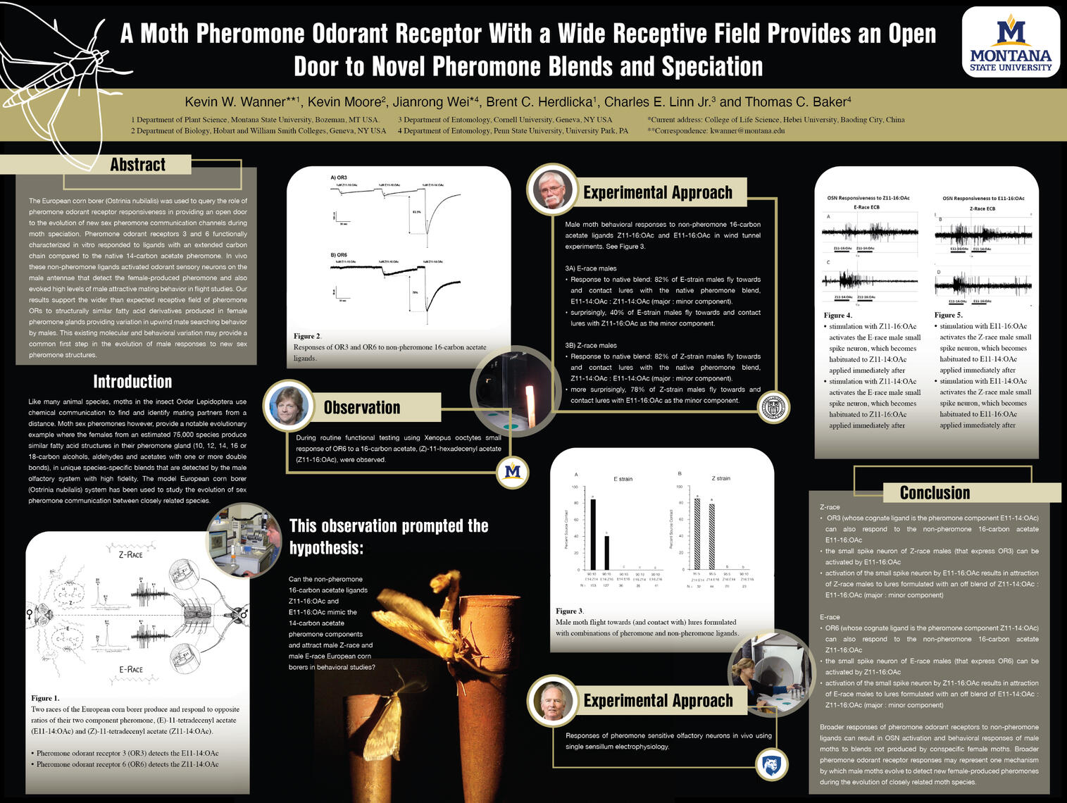 A Moth Pheromone Odorant Receptor With a Wide Receptive Field Provides an Open Door to Novel Pheromone Blends and Speciation