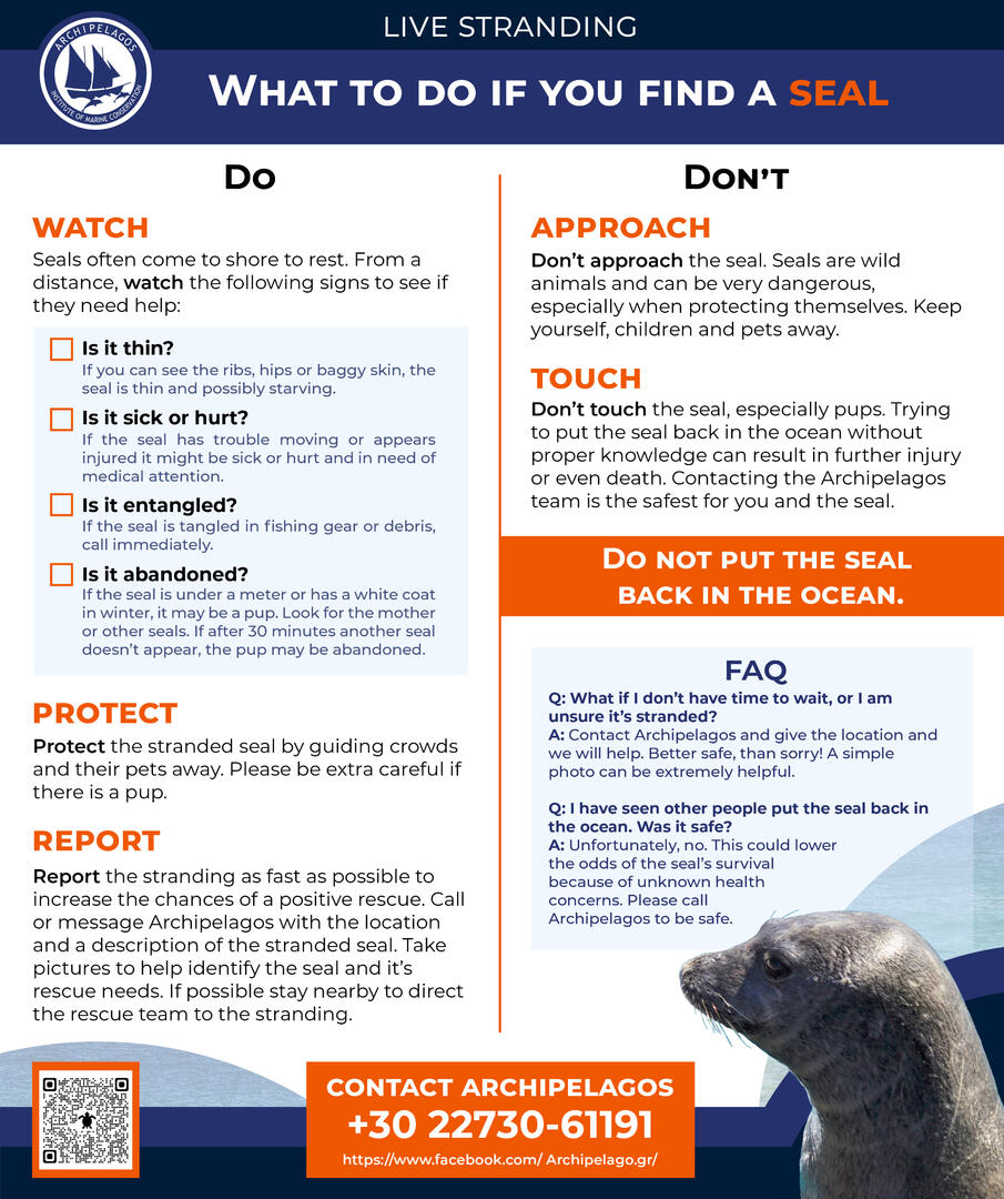 Live stranding poster: what to do if you find a seal.