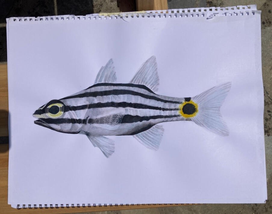 Picture of the finished watercolor. The paper is torn out of the book and resting on a table.