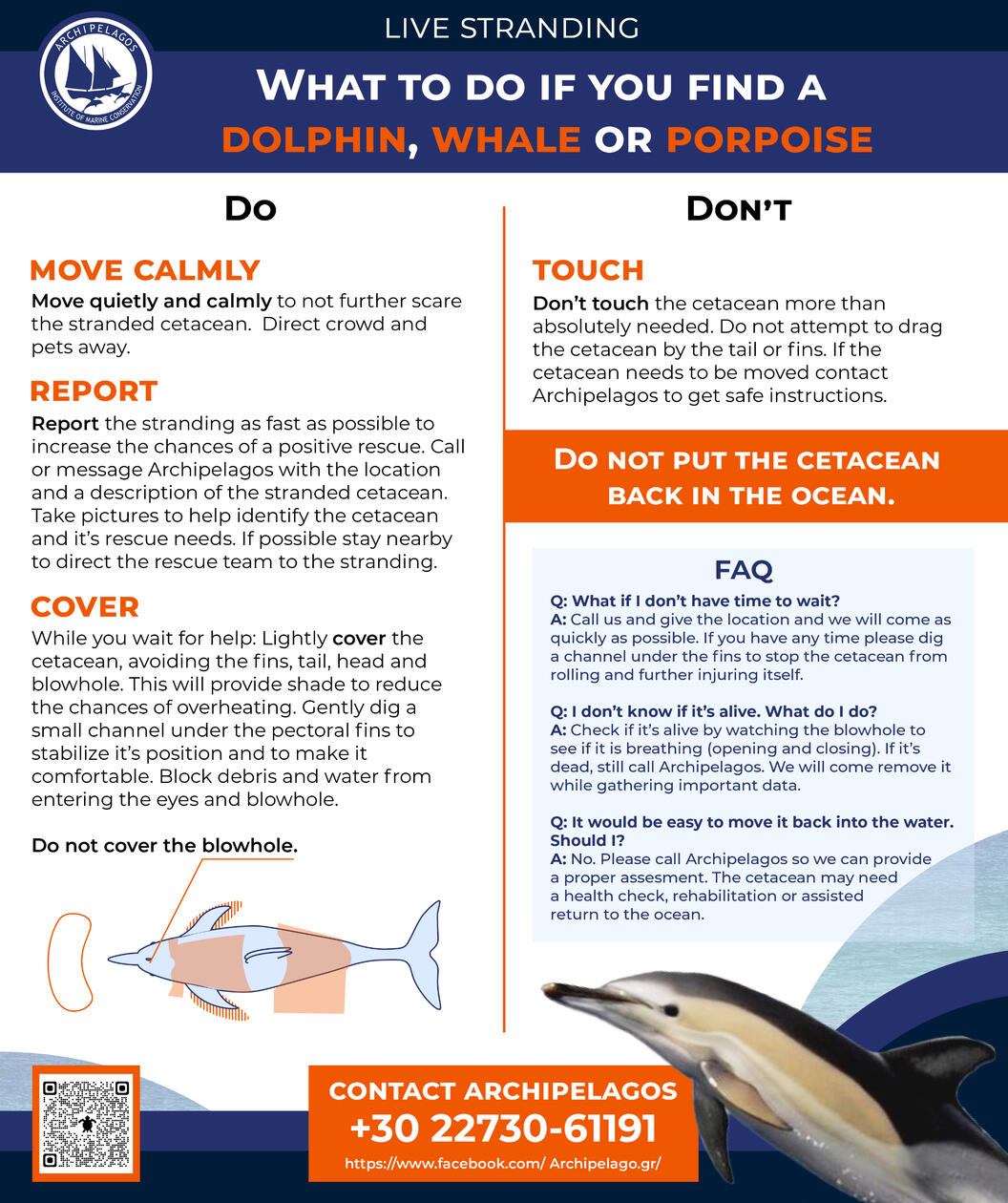 Live stranding poster: what to do if you find a dolphin, whale , or porpoise.