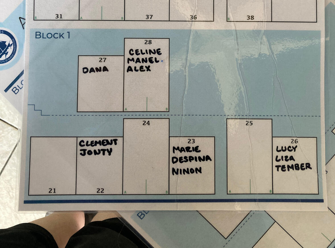 A picture of the laminated simplified maps. There are names in the rooms squares.