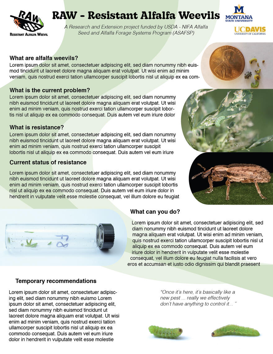 The front template of the RAW flyer.