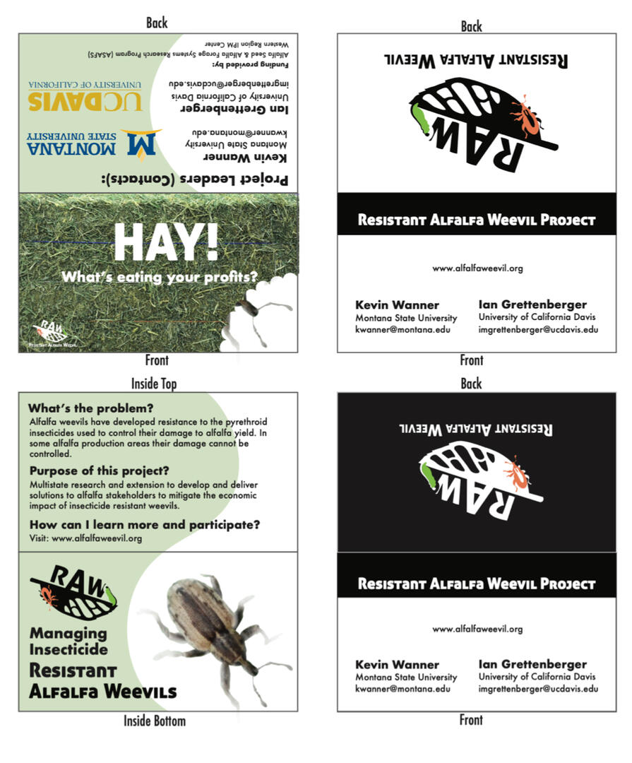 Three business card drafts.